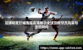国际足联报告：全球男子职业足球国际转会交易超10900笔，创历史新高